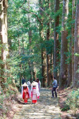 Wakayama, Japonya - Japonya Nachikatsuura, Wakayama, Japonya 'da Kumano Kodo (Nakahechi Route) yamacında Daimonzaka yamacı. UNESCO Dünya Mirasları Alanının bir parçasıdır..