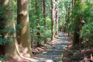 Wakayama, Japonya - Japonya Nachikatsuura, Wakayama, Japonya 'da Kumano Kodo (Nakahechi Route) yamacında Daimonzaka yamacı. UNESCO Dünya Mirasları Alanının bir parçasıdır..