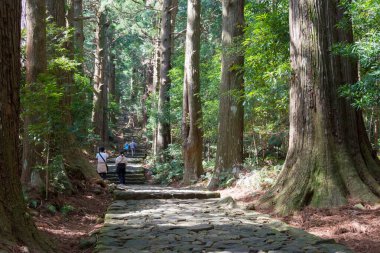 Wakayama, Japonya - Japonya Nachikatsuura, Wakayama, Japonya 'da Kumano Kodo (Nakahechi Route) yamacında Daimonzaka yamacı. UNESCO Dünya Mirasları Alanının bir parçasıdır..