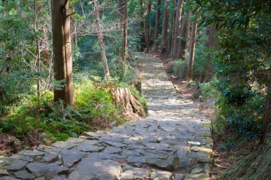 Wakayama, Japonya - Japonya Nachikatsuura, Wakayama, Japonya 'da Kumano Kodo (Nakahechi Route) yamacında Daimonzaka yamacı. UNESCO Dünya Mirasları Alanının bir parçasıdır..