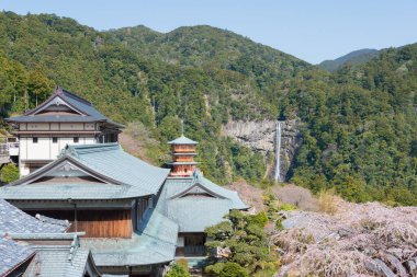 Wakayama, Japonya - Nachi Şelalesi ile Nachikatsuura, Wakayama, Japonya 'daki Seigantoji Tapınağı' nda üç katlı bir tapınak. UNESCO Dünya Mirasları Alanının bir parçasıdır..