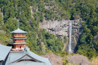 Wakayama, Japonya - Nachi Şelalesi ile Nachikatsuura, Wakayama, Japonya 'daki Seigantoji Tapınağı' nda üç katlı bir tapınak. UNESCO Dünya Mirasları Alanının bir parçasıdır..