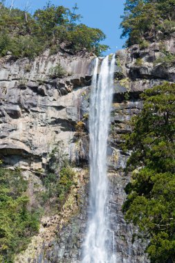 Wakayama, Japonya - Nachikatsuura, Wakayama, Japonya 'da Nachi Şelaleleri. UNESCO 'nun Dünya Mirası Alanındaki 