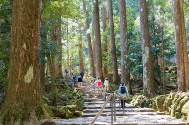 Wakayama, Japonya - Nachikatsuura, Wakayama, Japonya 'daki Nachi Şelaleleri' ne yaklaşın. UNESCO 'nun Dünya Mirası Alanındaki 