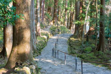 Wakayama, Japonya - Nachikatsuura, Wakayama, Japonya 'daki Nachi Şelaleleri' ne yaklaşın. UNESCO 'nun Dünya Mirası Alanındaki 