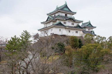 Wakayama, Japonya 'daki Wakayama Kalesi Parkı. Wakayama Kalesi aslında 1585 'te inşa edildi..