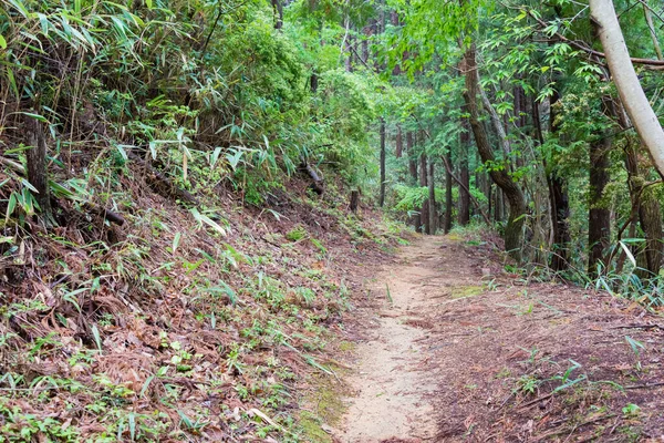 Wakayama Jepang Rute Ziarah Koyasan Nugini Michi Rute Ziarah Rute — Stok Foto