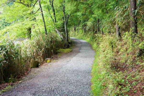 Wakayama Japon Routes Pèlerinage Koyasan Route Pèlerinage Nyonin Michi Route — Photo
