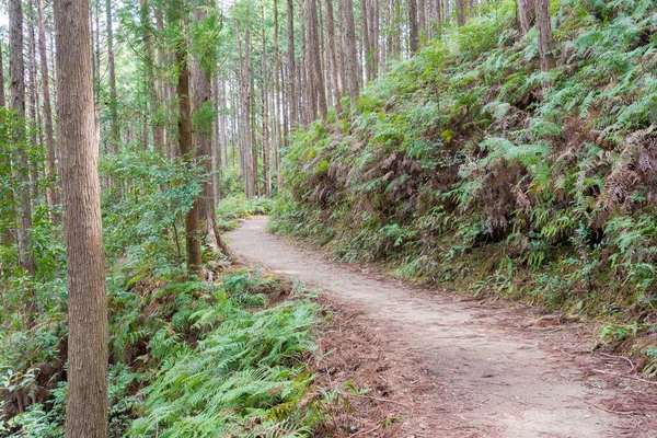 和歌山県 和歌山県田辺市熊野古道 中辺路 の水小路 伏見小路の間 ユネスコ世界遺産に登録されている — ストック写真