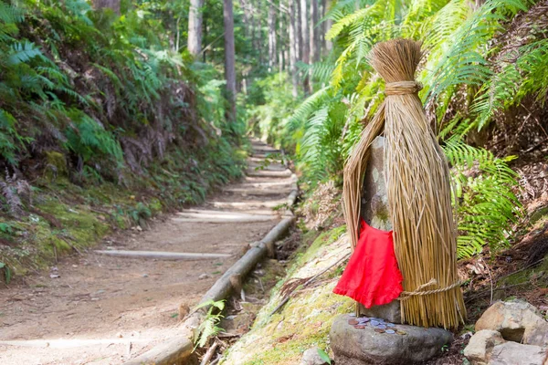 Wakayama Japonya Japonya Wakayama Tanabe Kumano Kodo Mizunomi Oji Fushiogami — Stok fotoğraf