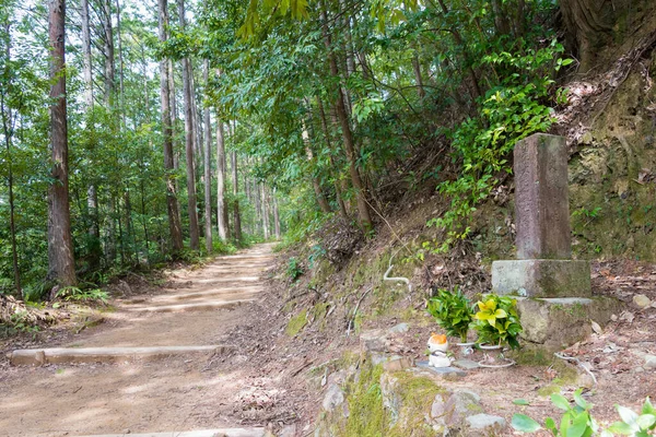 Wakayama Japonya Tanabe Wakayama Japonya Kumano Kodo Fushiogami Oji Kumano — Stok fotoğraf