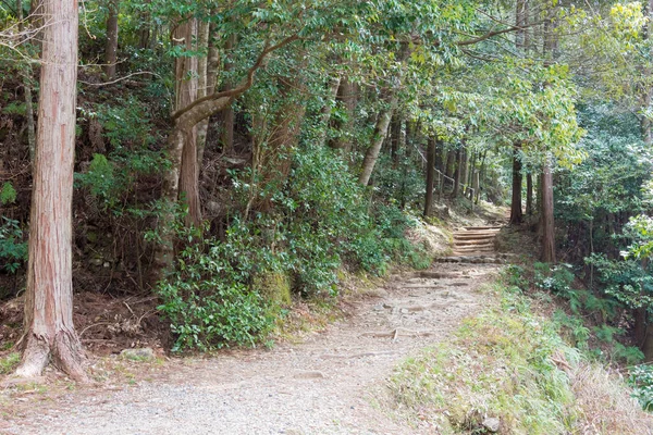 Wakayama Japan Tussen Fushiogami Oji Kumano Hongu Taisha Kumano Kodo — Stockfoto