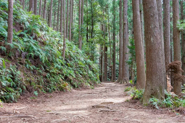 和歌山県 和歌山県田辺市熊野古道 中辺路 の伏見小路と熊野本宮大社の間 ユネスコ世界遺産に登録されている — ストック写真