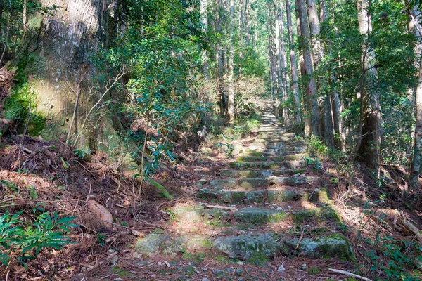 Wakayama Japão Rota Okumotorigoe Perto Kumano Nachi Taisha Kumano Kodo — Fotografia de Stock