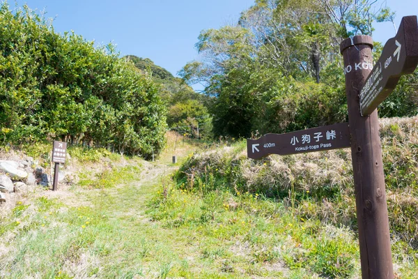 Wakayama Japonya Kokuji Toge Geçidi Kumano Kodo Nakahechi Yolu Nachikatsuura — Stok fotoğraf