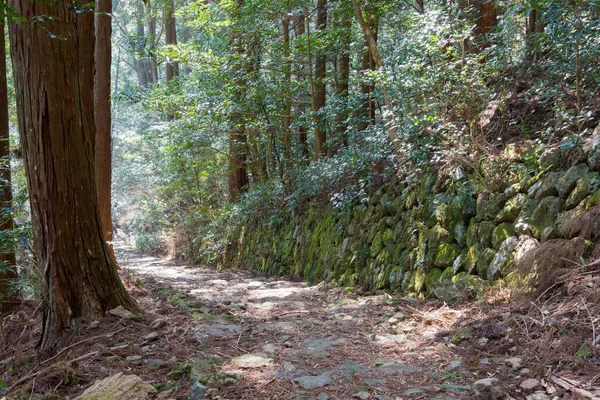 和歌山県 ユネスコ世界遺産に登録されている — ストック写真