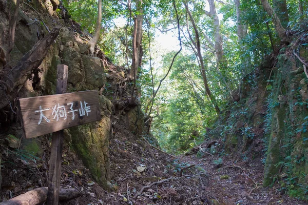 Wakayama Japon Col Okuji Toge Sur Kumano Kodo Route Nakahechi — Photo