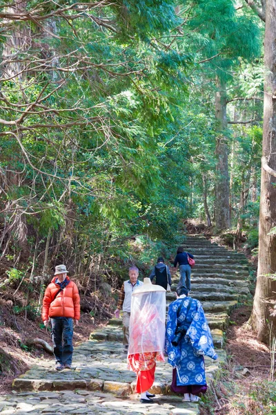 Wakayama Japan Daimonzaka Slope Kumano Kodo Nakahechi Route Nachikatsuura Wakayama — 图库照片