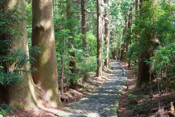 Wakayama Japon Piste Daimonzaka Sur Kumano Kodo Route Nakahechi Nachikatsuura — Photo