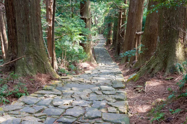 Wakayama Japonia Stok Daimonzaka Trasie Kumano Kodo Nakahechi Route Nachikatsuura — Zdjęcie stockowe
