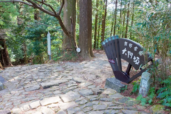 Wakayama Japonia Stok Daimonzaka Trasie Kumano Kodo Nakahechi Route Nachikatsuura — Zdjęcie stockowe