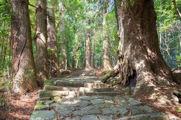 Wakayama Japan Daimonzaka Hang Auf Kumano Kodo Nakahechi Route Nachikatsuura Redaktionelles Stockfoto C Beibaoke Wakayama Japan Daimonzaka Hang Auf Kumano Kodo Nakahechi Route Nachikatsuura Redaktionelles Stockfoto C Beibaoke