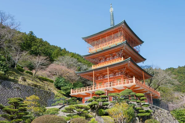 Wakayama Japón Pagoda Tres Pisos Con Nachi Falls Templo Seigantoji — Foto de Stock