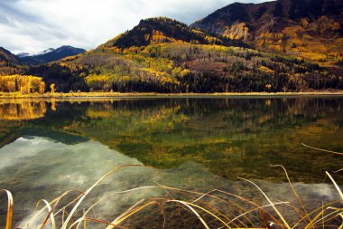 Mermer Colorado göl kenarında sakin bir gün. Altın aspens net sakin suda yansıtıcı. 
