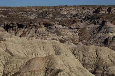 Başka bir tarafı taşlaşmış orman Milli Parkı Arizona. 