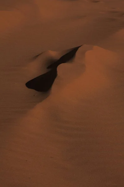 Sand Drift at Coral Pink Sand Dunes State Park, Utah.  Ripples in the sand from the winds that have blown.