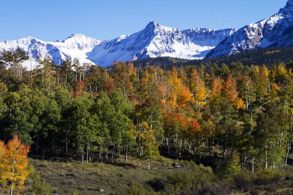 Tepeler ve altın Aspen güneybatı Colorado'da kar maskeli