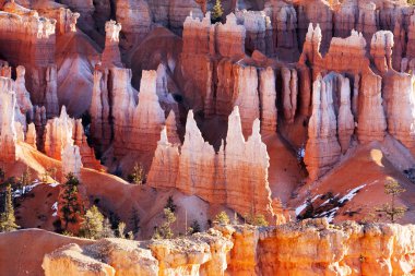 bryce canyon Milli Park, utah hoodoos