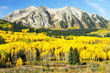 Colorado yüksek ülkenin altın Aspen