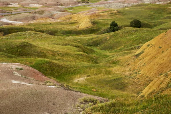 Badlands Rolling Hills Yellow Mounds South Dakota — Stock Photo, Image