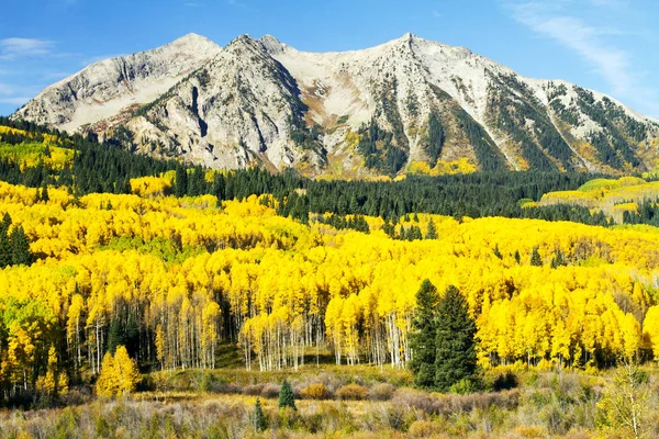Colorado yüksek ülkenin altın Aspen