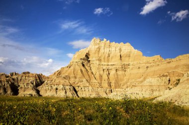 Bankası HIPPO Badlands Ulusal Parkı, Güney Dakota, sarı çiçek