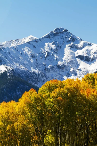 Kar altında altın Aspen Colorado Rocky Dağları doruklarına kaplı
