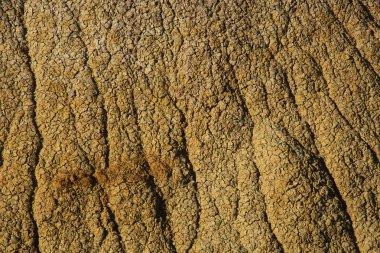 Dokular Badlands Ulusal Park Güney Dakota, Buffalo Gap otlaklar aşındırıyor