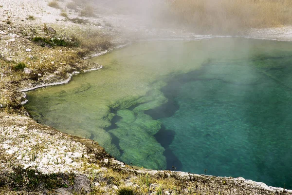 West Thumb Geyser Basin Blue Green Yellow Yellostone National Park — Foto de Stock