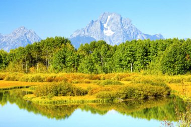 Oxbow Bend gündoğumu yansıma sonbahar renkleri, Grand Teton Milli Parkı, Wyoming