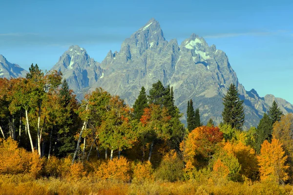 Sonbahar renkleri, Grand Teton Milli Parkı, Wyoming
