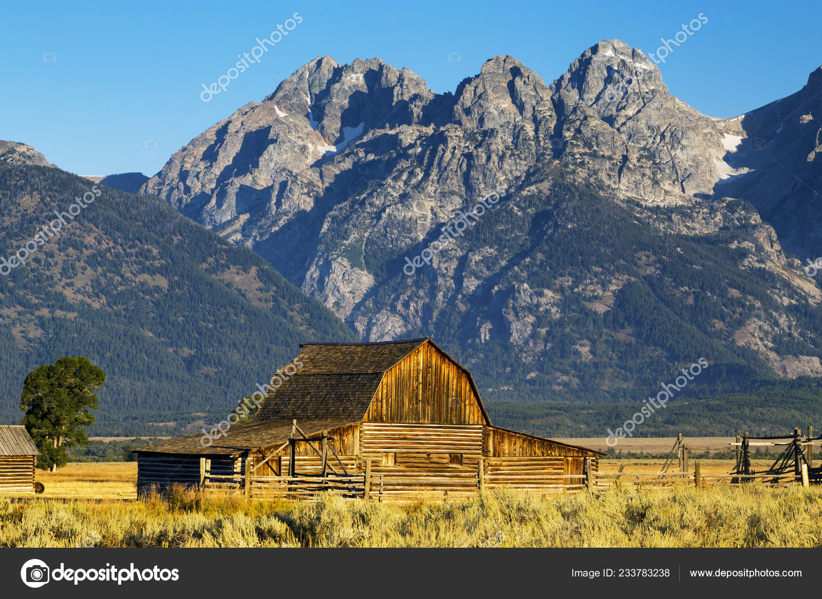怀俄明州大提顿国家公园秋季色中的摩门教排谷仓——图库图片© JCoulter #233783238