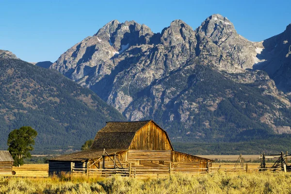Sonbahar renkleri, Grand Teton Milli Parkı, Wyoming ahırda Mormon satır