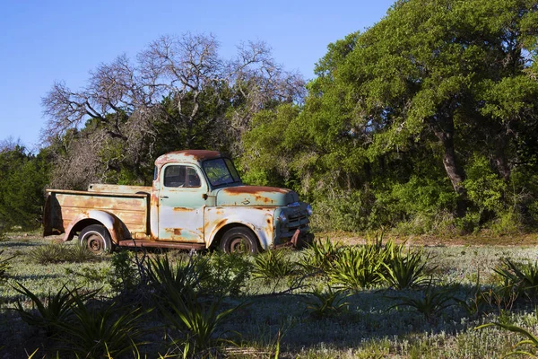 Rusty Old Pick Up Truck in an Old Field in Hill Country, Texas