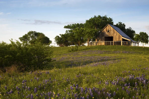 Granero de madera en el sendero Bluebonnet cerca de Ennis, Texas —  Fotos de Stock