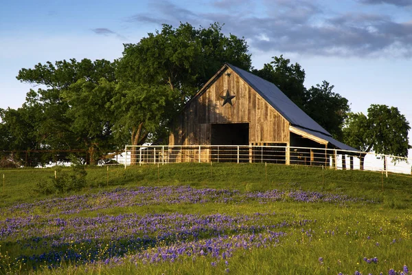 Scheune Bluebonnet Trail Bei Ennis Texas lizenzfreie Stockfotos