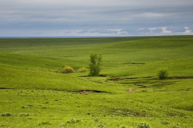 Kansas Flint Hills 'te Yuvarlanan Ovalar