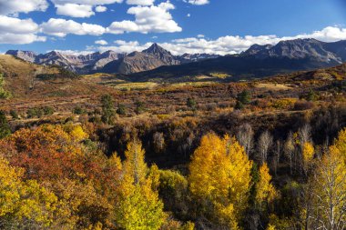 Colorado Aspen Güz Rengi Rocky Dağları, Kebler Geçidi
