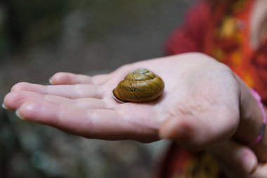Salyangoz kadının elindeki küçük kabuk. Doğanın kırılgan güzelliği