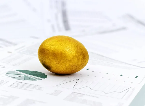 Finance Investment Growth Concept Golden Egg — Stock Photo, Image